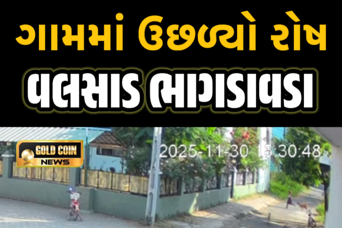 વલસાડ ભાગડાવડા કરીમનગરમાં 7 વર્ષની બાળકી પર રખડતા કુતરાઓનો હુમલો; સ્થાનિકોમાં ભારે રોષ